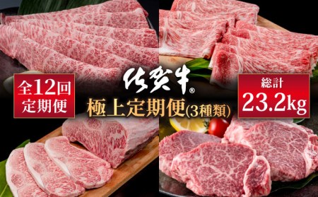 【肉のプロが厳選！】【全12回】佐賀牛 極上定期便 /肉 牛肉 佐賀牛 佐賀県産和牛 ブランド牛肉 肉 牛肉 佐賀牛 国産牛肉 上質な肉質 贅沢な牛肉 肉 牛肉 定期便 佐賀牛 佐賀県産和牛 ブランド牛肉 肉 牛肉 佐賀牛 国産牛肉 【株式会社いろは精肉店】 [IAG079]