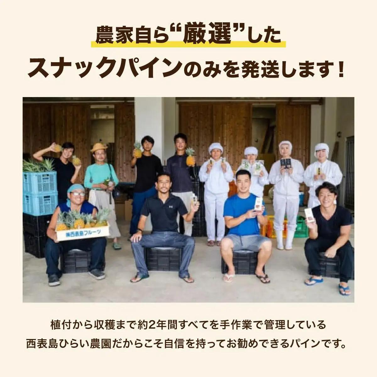 【2027年 先行予約】スナックパイン 約13kg