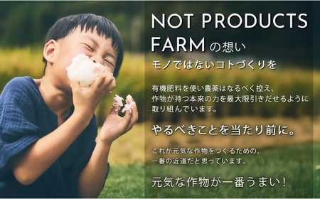 【にこまる】【数量限定】四万十清流育ち!つや甘み際立つ 10kg／ Fnp-06