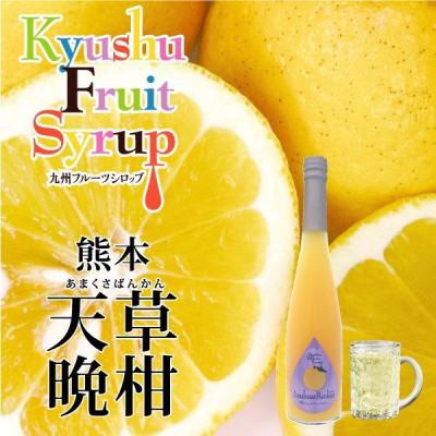 ふるさと納税 水俣市 九州を飲む! 九州果実 シロップ 天草 晩柑 500ml 1本 【福田農場】