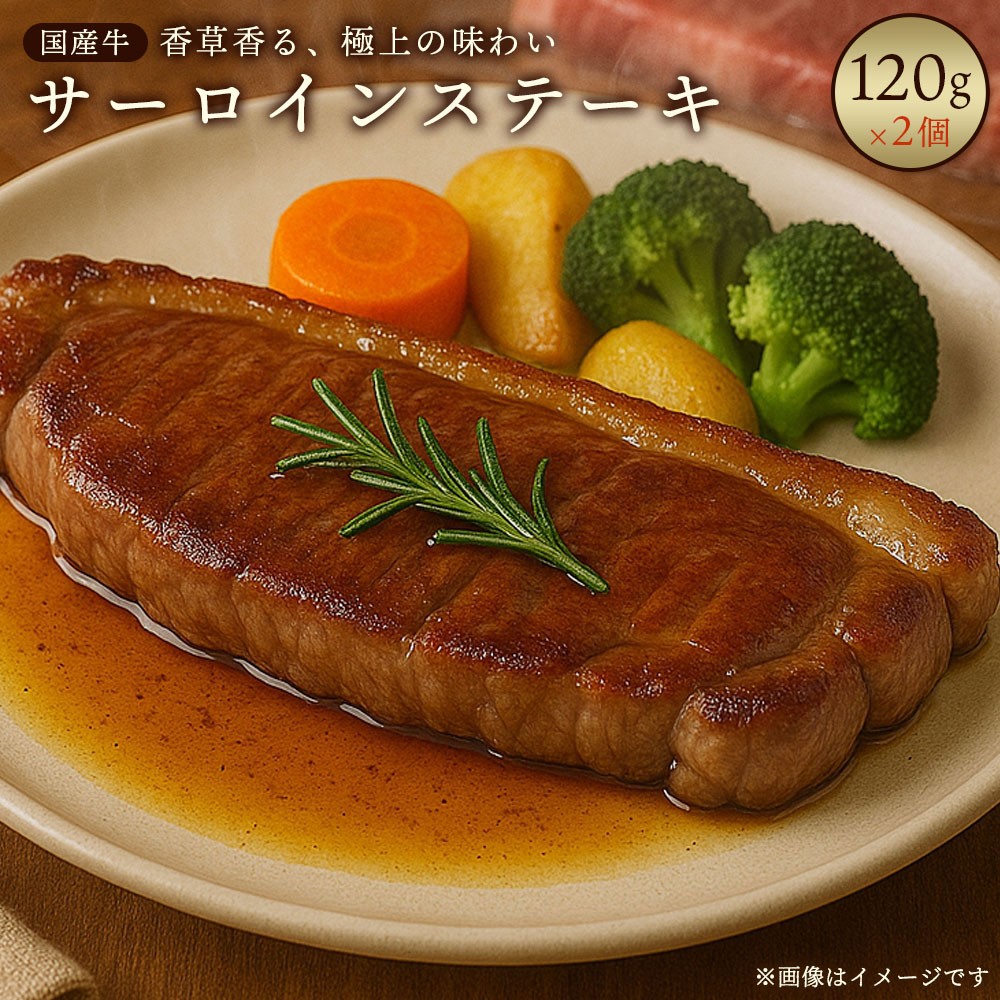国産牛　　サーロインステーキ肉　240g（120ｇ×２個）