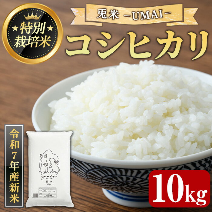 【ふるさと納税】＜令和7年産新米・先行予約受付中！2025年10月中旬以降順次発送予定＞＜数量限定＞特別栽培米！兎米-UMAI- コシヒカリ(10kg) 鳥取県 米白 米 コメ こめ お米 おこめ こしひかり 精米 ごはん ご飯 10キロ 【sm-EC001】【優栽】