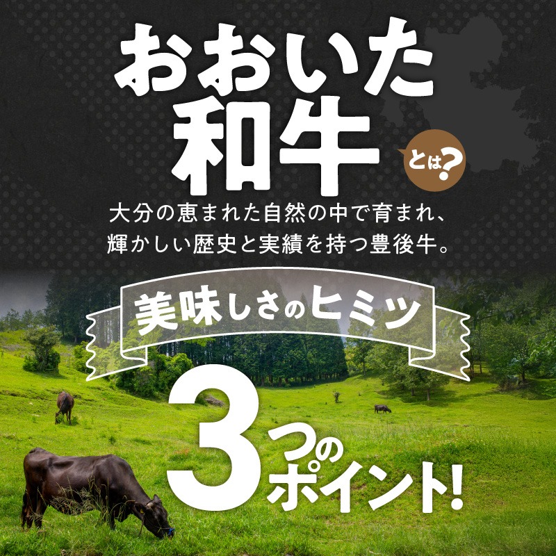 【黒毛和牛】 おおいた和牛 半生 ビーフジャーキー 200g (40g×5P) レア つまみ 酒の肴_2392R-1