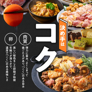 名古屋コーチン卵・仙寿卵お試しセット(各10個入り)[006K02]