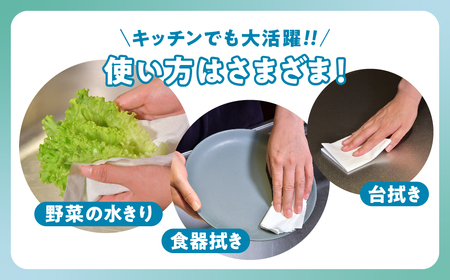 【3回配送/1ヶ月に1回定期便】ペーパータオル ナクレ ハンドタオル 50箱 (5箱組×10セット 120組 240枚)