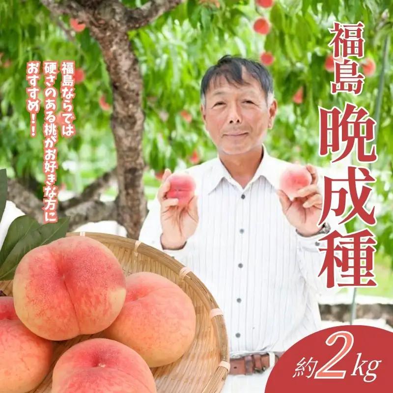 No.2407福島 桃　晩成種約2kg【2026年発送】