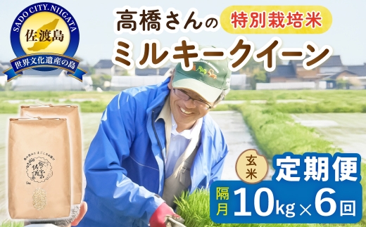 【定期便 令和8年産新米 全6回】 佐渡島産ミルキークイーン 玄米 10kg 令和8年産新米 特別栽培米 高橋農園 | 新潟県産ミルキークイーン 佐渡産ミルキークイーン ミルキークイーン お米 米 玄米 げんまい おこめ コメ 10キロ にいがた さど 新潟県 佐渡市