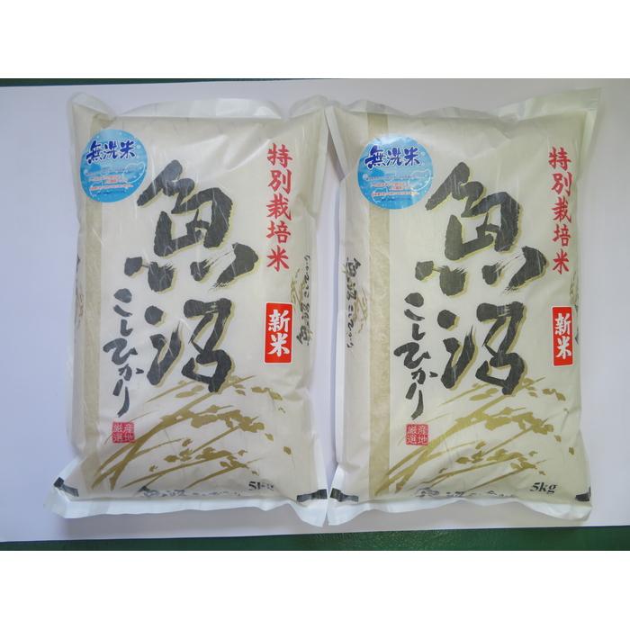 【ふるさと納税】令和7年産先行予約　無洗米　魚沼産コシヒカリ特別栽培米　5kg×2 | お米 こめ 白米 食品 人気 おすすめ 送料無料