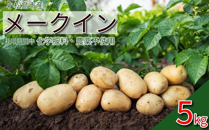 
            （栽培期間中）化学肥料・農薬不使用  メークイン 5kg じゃがいも 野菜 産地直送 安心 安全 カレー ポテトサラダ  シチュー コロッケ 自然栽培 芋 じゃがバター 小松島市
          
