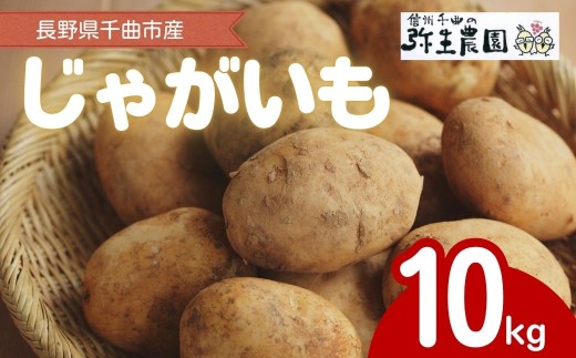 千曲市産 じゃがいも 10kg | 芋 ジャガイモ 野菜 農家直送 国産 信州 千曲 長野 長野県