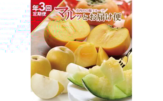 ≪3回定期便≫ 庄内の口福フルーツマルッとお届け便2026 6月中旬～8月上旬 アンデスメロン 8月下旬～10月上旬 刈屋梨 10月下旬～11月下旬 庄内柿 計3回 山形県酒田産 頒布会 メロン 青肉メロン 梨 和梨 柿 くだもの 果物 フルーツ 夏 秋 マルト直治郎商店　SE0491