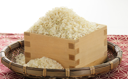 新米　令和7年産　特別栽培米あきたこまち　五分づき米5kg【配送不可地域：離島・沖縄県】【1283153】