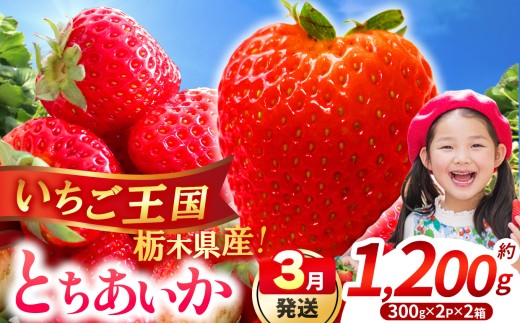 【先行予約】【期間限定】那珂川町産とちあいか 3月発送分 約300g×2×2 |いちご とちあいか ジューシー フルーティー 大きい 新鮮 甘い 美味しい 果物 共通返礼品 フルーツ デザート 栃木県 那珂川町 送料無料