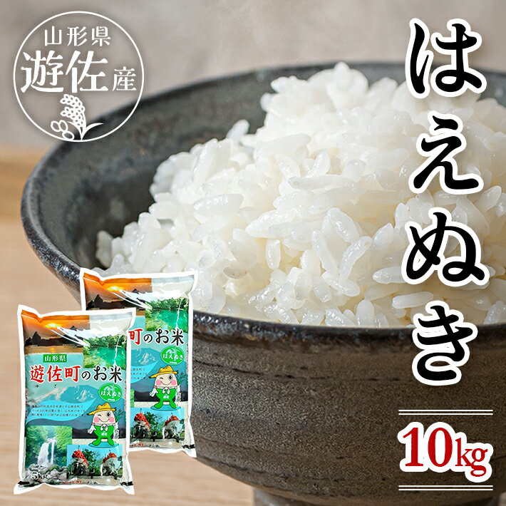 【ふるさと納税】はえぬき 計10kg 5kg×2袋 令和6年産米 山形県遊佐産 東北 遊佐町 庄内地方 庄内平野 米 お米 精米 白米 庄内米 ごはん ご飯 セット