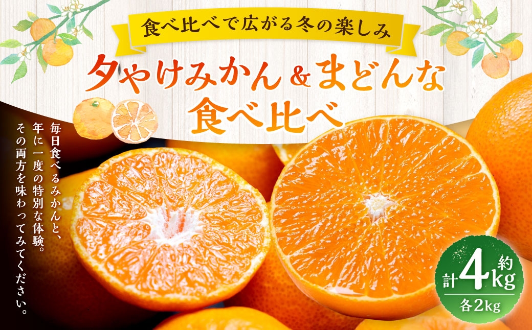 
                  【 食べ比べで広がる冬の楽しみ 】 まどんな （ 紅まどんなと同品種 ） 約2kg＋夕やけみかん 約2kg みかん ミカン 柑橘 柑橘系 柑橘類 くだもの 果物 フルーツ 果実 果汁 果肉 国産 愛媛県産 【 2026年11月下旬-2027年1月下旬発送予定 】 ( 1114 )
                