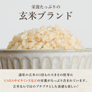 米 令和7年産 金のいぶき 5kg 有機JAS 玄米