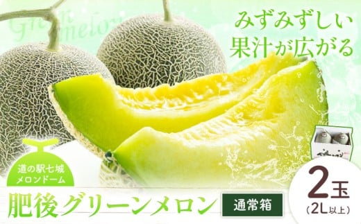 【先行予約】肥後グリーンメロン 2玉 2L以上 通常箱【メロンドーム】 有限会社七城町特産品センター《2026年5月中旬-6月中旬頃出荷》熊本県 菊池市 メロン グリーンメロン 果物 フルーツ 熊本県産 送料無料