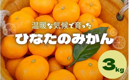 <先行予約> ひなたのみかん 3kg （箱込み）※2025年12月頃に順次発送予定【期間限定・2025/12/25まで】 / 温州みかん 田辺市 みかん 期間限定 先行予約 ミカン 和歌山 紀州【okm002-1】