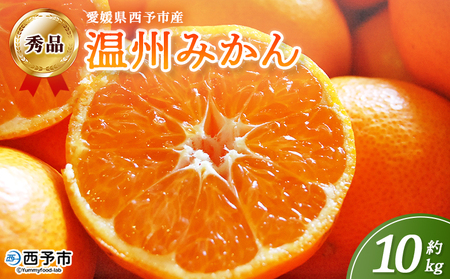 ＜西予市産 温州みかん 秀品 約10kg＞ 蜜柑 ミカン みかん 果物 フルーツ 柑橘 国産 愛媛県産 サイズおまかせ 10キロ うんしゅうみかん ウンシュウミカン 特産品 丸二青果 愛媛県 西予市【常温】『2025年11月～2026年1月迄に順次出荷予定』MMY0003