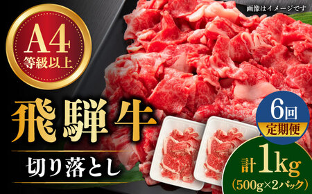 【6回定期便】飛騨牛切り落とし 1kg　多治見市/肉の丸長  和牛 切り落し 小分け 薄切り 肉じゃが 牛丼 カレー ビーフシチュー 切り落とし スライス すき焼き しゃぶしゃぶ うす切り 牛肉 飛騨牛 定期便 ギフト 贈答 贈り物 送料無料 [TAZ016]