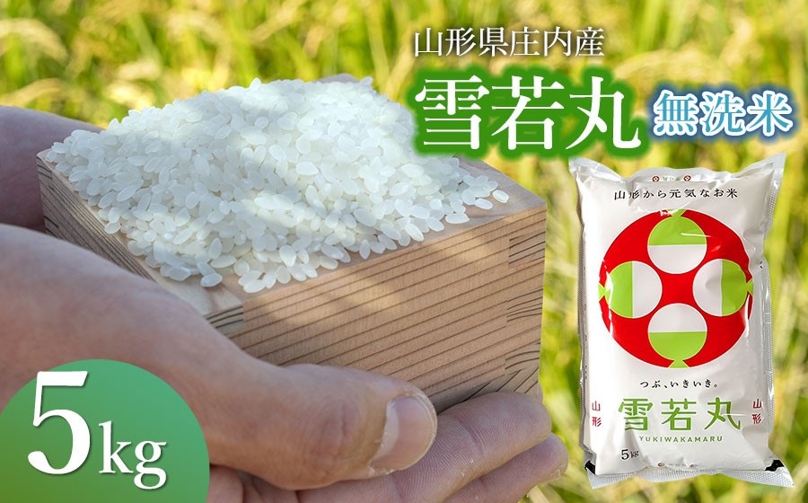令和7年産 馬町さくらファームの雪若丸 無洗米 5kg×1袋　K-745 | 精米 白米 山形県 鶴岡市 ご飯 ごはん