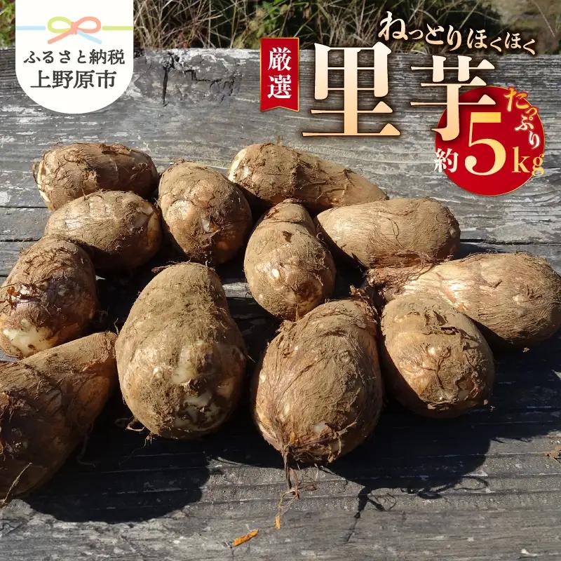 【2026年先行予約】◆◆2026年度収穫分◆◆ 「農家 農天氣がおくる」山梨県上野原市産 里芋 約5kg