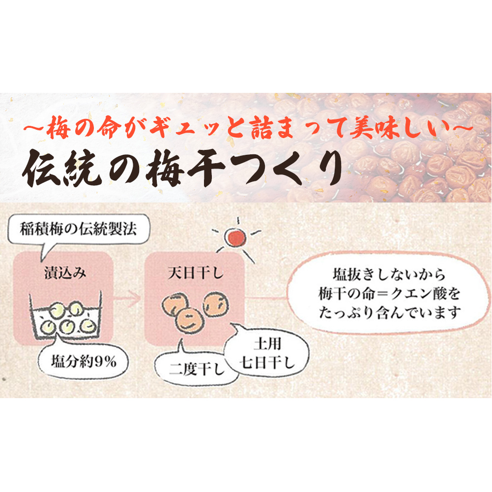 梅干し お米（10kg）付き！｜　富山県 氷見市 固定種 稲積梅 梅 梅干し 手作り 果実 昔ながら 無添加 酸っぱい 肉厚 お米 セット GI認証 GI登録 稲積梅_イメージ3