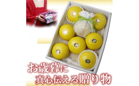 【先行予約】12月発送土佐文旦 文旦 贈答用 約3kg 中玉6個もしくは大玉5個入り〈2026年12月上旬〜2027年1月中旬頃発送〉  / ハウス文旦 温室土佐文旦 特選秀品ご贈答用中箱 柑橘 みか