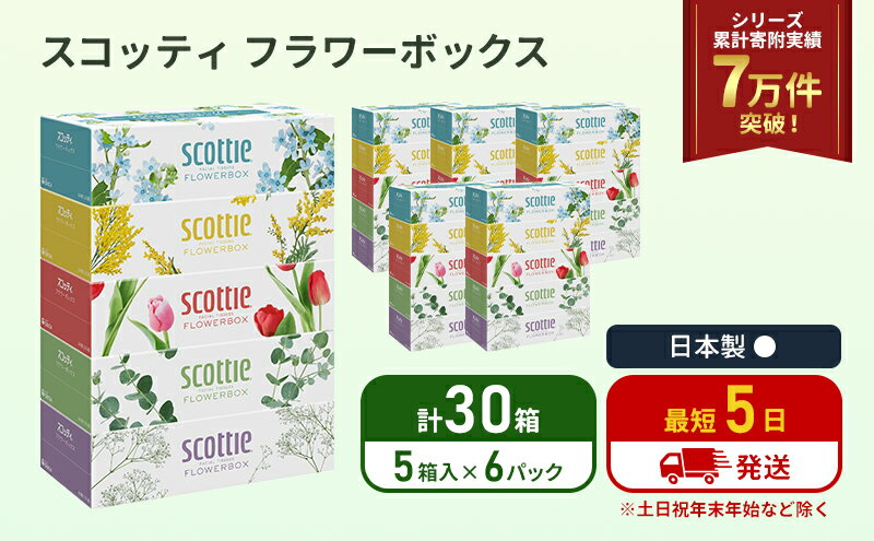 【ふるさと納税】ティッシュ スコッティ フラワーボックス 60箱 (5箱×6パック) ティッシュペーパー ティシュー ティシューペーパーボックスティッシュ ボックスティシュー ティシュペーパー 防災 災害 日用品 生活用品 生活必需品 宮城県 岩沼市