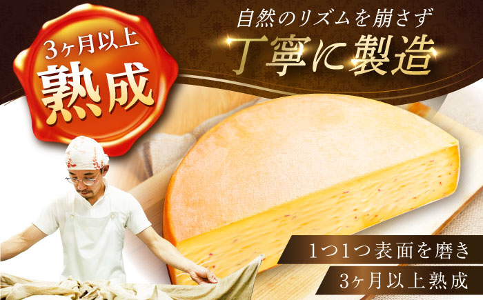 ＼TVで話題／北海道 スパイスラクレット 1/4ホール（1.25kg）【最長6ヶ月を目安に発送】《足寄町》【しあわせチーズ工房】チーズ ラクレット ラクレットチーズ 生乳 ミルク 乳製品 チーズフォン
