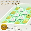 【ふるさと納税】 十三代目 佐藤市右衛門 ラ・フランス 約5kg (14～16玉 特秀) 《令和6年10月下旬～発送》 『旬の果実 佐藤市右衛門農園』 ラフランス 西洋梨 洋なし 果物 フルーツ デザート 山形県 南陽市 [679]