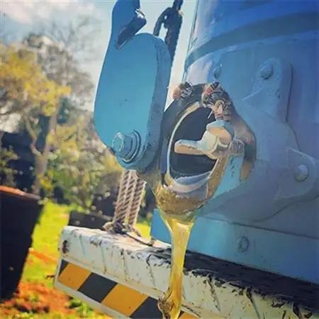 坂井養蜂場　昔ながらの蜂蜜　550g　2本組_調味料 はちみつ  ハチミツ 蜂蜜_【1089941】