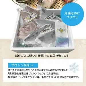 佐賀関産　朝獲れ鮮魚　おまかせ詰め合わせ　約2kg E04025