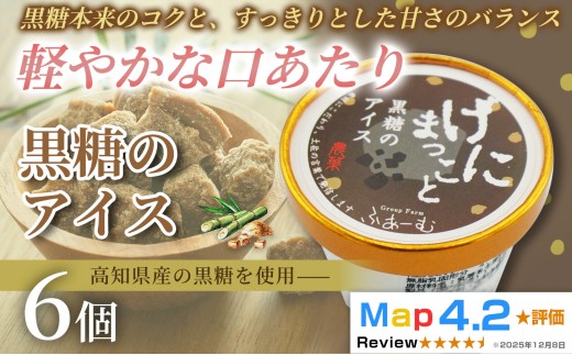 黒糖 アイス 100ml×6個 アイスクリーム 人気 ご当地アイス 高知県 黒糖味 黒砂糖 スイーツ デザート お菓子 おやつ ヘルシー  高知県産  スイーツ 氷菓 手作り 話題 ユニーク 変わり種 ホームパーティー おもてなし 詰め合わせ 贈り物 贈答 冷凍 ギフト プレゼント ロングセラー リピート 安芸市 高知県