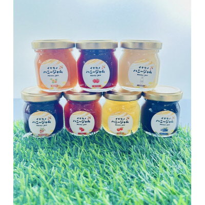 【ふるさと納税】イナカノ　ミニ　ハニージャム　50g×7種(各1本)セット【信州中野】【1625375】