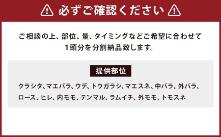 博多和牛 まるまる 1頭 350～450kg 和牛 牛肉