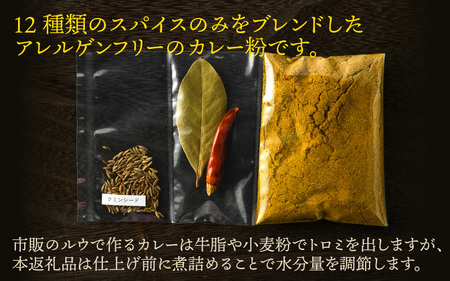 ハーブ講師が作る 教室で人気のカレースパイスセット （5食分 × 2箱） 【アレルゲンフリー】 【スパイス スパイスカレー スパイスセット カレーパウダー おうちカレー カレー粉 香辛料 セット 手作