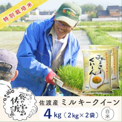 ふるさと納税 佐渡市 佐渡島産ミルキークイーン 白米4Kg(2Kg×2袋) 令和7年産 特別栽培米【食の宝島佐渡】