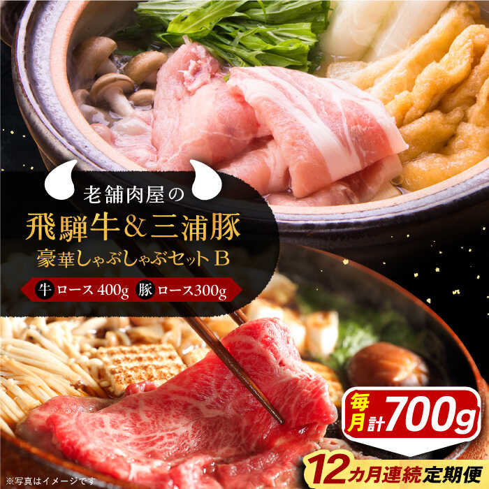 【ふるさと納税】【12回定期便】 牛肉 飛騨牛ロース400g 三浦豚ロース300g 豪華しゃぶしゃぶセットB 各種類1パック 和牛 国産 霜降り 肉 にく 牛肉 国産 和牛 産地直送 贈答用 ギフト ブランド牛 岐阜県産 人気 お取り寄せ /恵那市/岩島屋[AUAJ050]