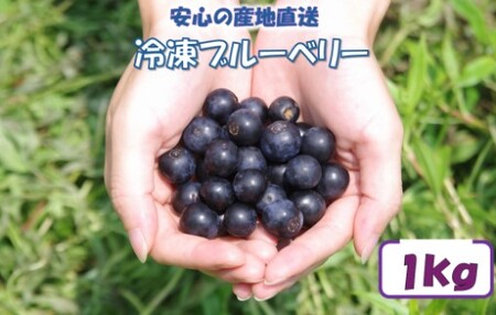【７月以降順次発送】 冷凍ブルーベリー 1kg ブルーベリー ぶるーべりー フルーツ 果物 果実 産地直送 AS-2246