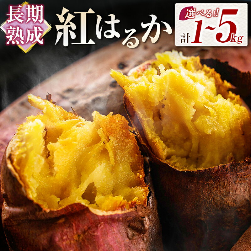 【ふるさと納税】＜選べる内容量＞ 長期熟成 紅はるか 計1kg～5kg 宮崎県都城市産 さつまいも サツマイモ
