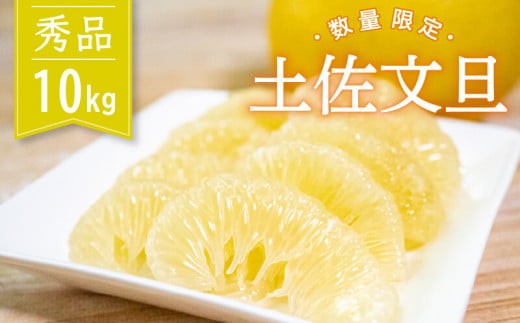 【 先行予約 】 土佐文旦 秀品 10kg 高知県産 柑橘 フルーツ 文旦 ぶんたん ブンタン 分担 果物 みかん 文旦 産地直送 高知県 須崎 須崎市 KG001