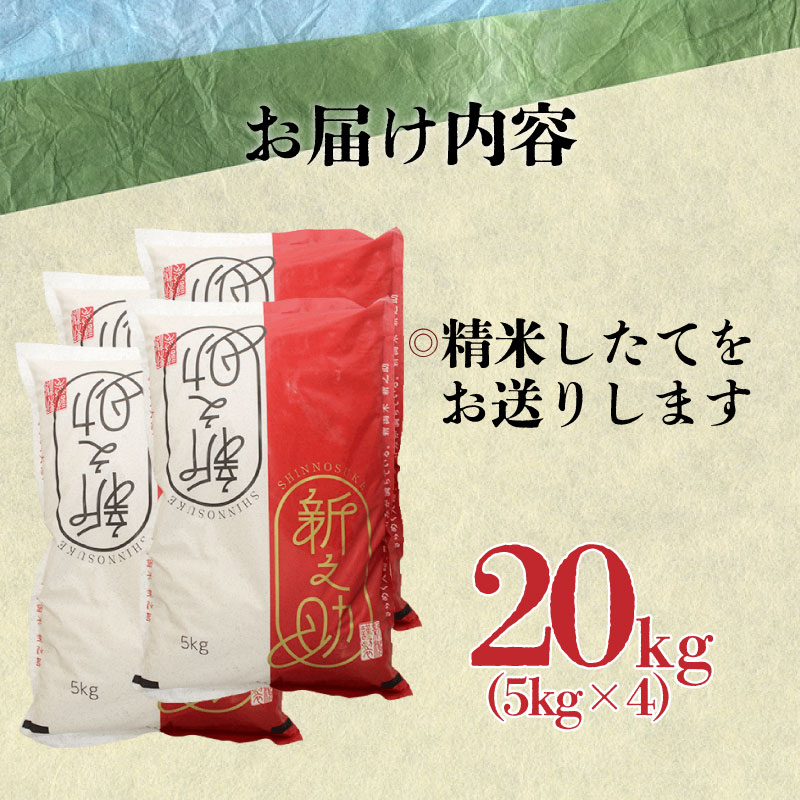 令和6年産 新之助 20kg 【 新潟 新潟県 米 5kg 4袋 新之助 新発田産 】