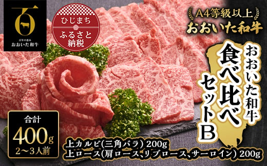 
おおいた和牛 食べ比べセットB( 上カルビ & 上ロース )(合計400g)2～3人前【1292973】
