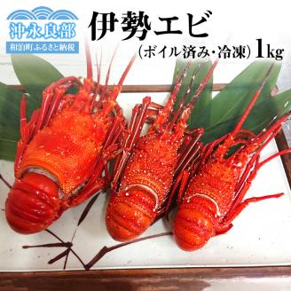 ボイル済み　伊勢エビ冷凍　1kg