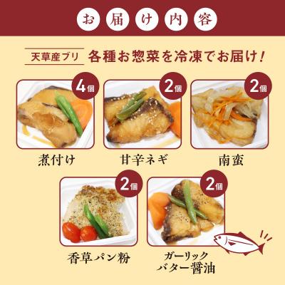 ふるさと納税 天草市 ブリの惣菜5種類12食セット_S010-064 |  | 01