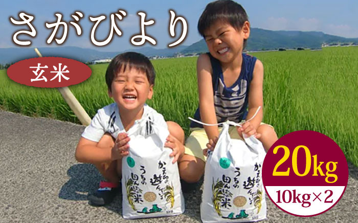 
【先行予約】令和6年産 新米 さがびより 玄米 20kg ( 10kg×2袋 ) 【ひなたむらのお米】 [HAC005]
