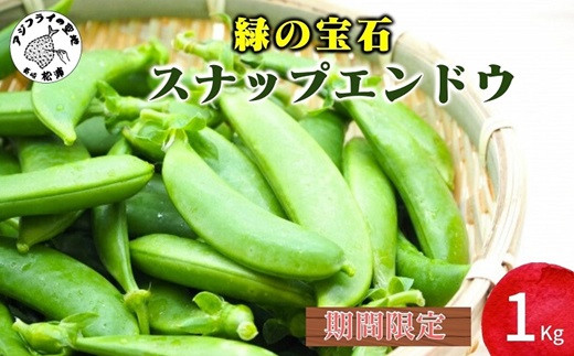 
            《期間限定》みずみずしさ弾ける！鷹島のスナップエンドウ1kg( えんどう エンドウ 豆 旬の野菜 野菜 新鮮 朝摘み 長崎県 松浦市 )【B0-226】
          