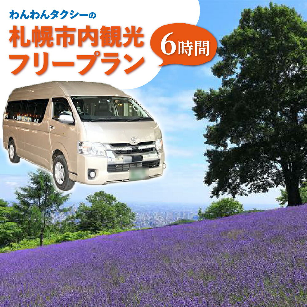 【ふるさと納税】 札幌 タクシー券 6時間 貸切 タクシー フリープラン ラグジュアリーミニバン 観光 旅行 お出かけ 外出 便利 わんわんタクシー サービス チケット クーポン 利用券 北海道 札幌市