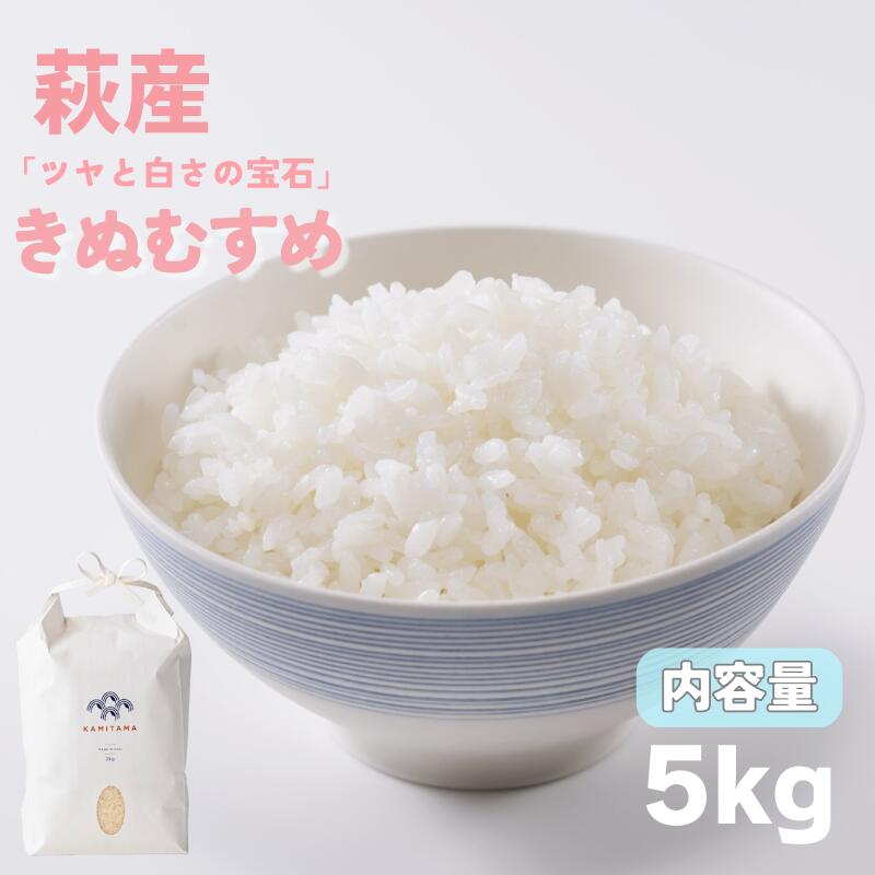 【ふるさと納税】きぬむすめ 令和7年 5kg 米 コメ こめ 萩産 KAMITAMA